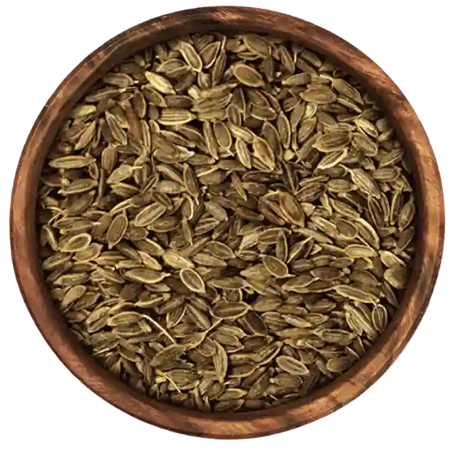 Dill Seeds